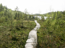 Ilustratīvs foto: Mārtiņš Zilgalvis, F64