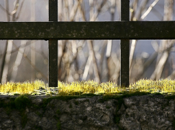 Foto: Raitis Plauks, F64