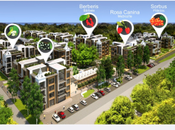 Multifunkcionālo kompleksu „SKY GARDEN” Vaivaros-Asaros reklamē internetā.