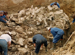 Starptautiskā tribunāla izmeklētāji atrok masu kapu Srebrenicā. Foto no interneta