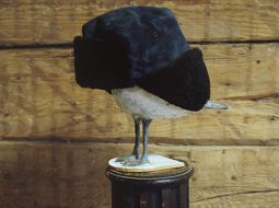 Fotogrāfa Andreja Strokina izstāde