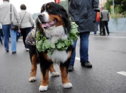 Foto: Edijs Pālens, LETA