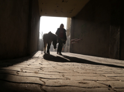 Foto: Evija Trifanova, LETA
