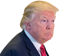 Donalds Tramps.