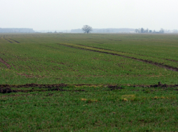 Foto: Edijs Pālens, LETA.