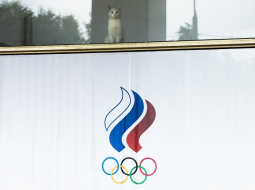 Krievijas olimpiskās komitejas logā sēž kaķis. Foto: AP/LETA