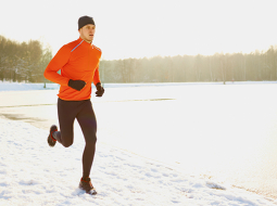 Foto — Shutterstock