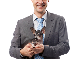 Foto — Shutterstock