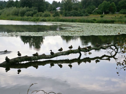 Šlokenbekas dzirnavezers. Foto: dziedava.lv