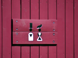 Piktogramma uz tualetes durvīm. Foto: Zane Bitere, LETA