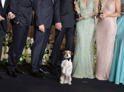 Terjers Ugijs pozē ar franču filmas Mākslinieks aktieru ansambli pēc ASV Kinoakadēmijas balvas pasniegšanas ceremonijas, kurā šī lente saņēma piecus Oskarus: labākā filma, labākais režisors, labākais aktieris, labākie kostīmi un labākā oriģinālā mūzika. Ugijs līdz šim jau piedalījies piecās filmās.