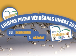 2017_09_Eiropas_putnu_verosanas_dienas_2017.jpg