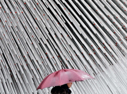 AFP/LETA