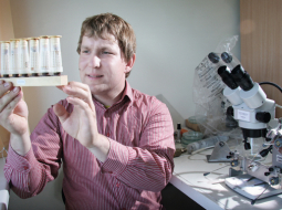 Latvijas Biškopības biedrības pētnieks Jānis Trops laboratorijā Jelgavā no jūnija līdz augustam ik dienu apaugļo ap 10 bišu. «Man bites nedzeļ, jo māku tām pielāgoties». Foto — Reinis Hofmanis, F64