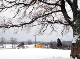 Rēzeknes novada Ilzeskalna Diršu ciemā ir piecas mājas. Par to, ka tie ir Dirši, neziņo neviena ceļazīme.