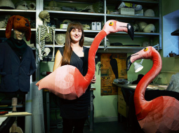 Latvijas Nacionālās operas un baleta butafore Ilze Egle ar flamingo maskām, kas liekamas nevis uz sejas, bet uz rokām. Ilzei aiz muguras plauktos glabājas visu masku atlējumi ģipsī vai mālā.