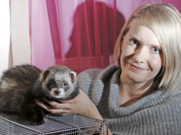 Gadu vecais sesks Bazils ir Latvian Winter Ferret Show 2010 uzvarētājs junioru kategorijā. Marta Esmane ir viņa saimniece. Foto — Gints Ivuškāns, F64