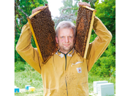 Vairāki Latvijas biškopji savu produkciju pārdod igauņu un somu uzpircējiem, bet Ainars Millers pats lauž ceļu uz Vāciju.