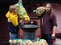 «Ziemā mazliet iedzer — tā ir kā vasaras saule,» sākot gatavot sidru nu jau nākamajai, 2014./2015.gada sezonai, pasmaida smiltenietis Jānis Matvejs (attēlā pa kreisi līdzās kolēģim Normundam Štolceram).