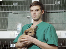 Lauris Muldiņš ir topošais veterinārārsts, kurš ķer bīstamus un klaiņojošus suņus. Pēc Jaungada darba ir vairāk, jo suņus izbiedējis salūts. Foto — Gints Ivuškāns, F64
