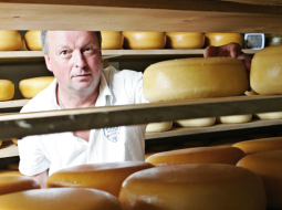 Siera siešanas prasmi  Andis Vītolbergs apguva  gan Nīderlandē, gan Igaunijā  pie kāda piensaimnieka, kurš, tāpat kā latvietis, gribēja būt  pēc iespējas neatkarīgāks  no uzpircējiem un piena cenām. Foto — Jānis Saliņš, F64