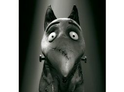 Frankenkrancis