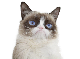 2017_09_grumpy.png