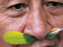 Kolumbijas trešajā lielākajā pilsētā Medeljinā noticis iezemiešu cilšu protesta gājiens Par  dzīvi un cieņu. Šajā Dienvidamerikas valstī nosacītā nošķirtībā joprojām dzīvo aptuveni 120 cilšu kopienas, no kurām 37 ir uz iznīcības robežas — viņu tradicionālo dzives veidu un pat izdzīvošanu apdraud gan bruņotas narkotiku kontrabandistu bandas, gan nepārdomāti infrastruktūras megaprojekti.