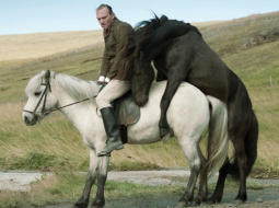 Zirgu acīm, cilvēku acīm