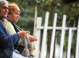 Rumānijas sabiedrība atšķirībā no citām valstīm ir ļoti atvērta eirozonai un nebūtu pretī tajā iestāties jau tūlīt, tomēr valdība šos plānus ir atlikusi uz nenoteiktu laiku.