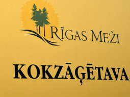 SIA "Rīgas meži" kokzāģētava "Norupe". Foto: Zane Bitere, LETA