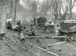 Bēgļu pajūgi ceļā.
Foto no Latvijas Kara muzeja krājuma
