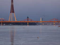 "Zelta" Dienvidu tilts. Foto: Evija Trifanova, LETA