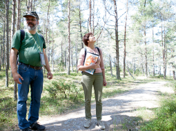 Piekrastes biotopu eksperti Didzis Tjarve un Brigita Laime priecājas par mežu, kurā aug dažādu vecumu priedes. Tāda vide nodrošina lielu bioloģisko daudzveidību.
Foto — Ieva Salmane