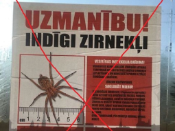 Plakāts sabiedriskā transporta pieturvietā. Publicitātes foto