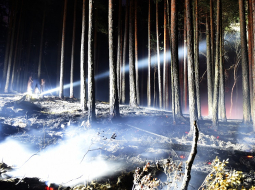 Izdegušais mežs Ķemeru nacionālajā parkā. Foto: Edijs Pālens, LETA
