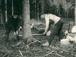 No bēgļu gaitām atgriezušies bēgļi malkas sagatavošanas darbos.
Foto no Latvijas Kara muzeja krājuma