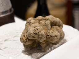 Albas baltā trifele (Tuber magnatum pico), dārgākā un aromātiskākā no trifeļu ģimenes. To ievāc no 21. septembra līdz 31. decembrim