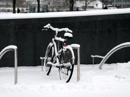 Velosipēdu novietne pie Latvijas Nacionālās bibliotēkas. Foto: Maija Zara, LETA