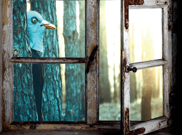 Paradoksālā Latvija