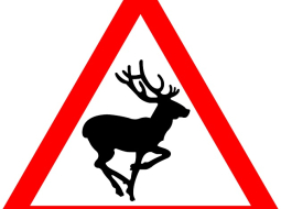 Ilustratīvs attēls no pixabay.com