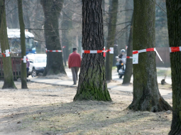 Jau 2006.gadā Kuldīgas un Slokas ielu iedzīvotāji ar saviem protestiem panāca, ka aptur iecerēto koku izciršanu pie Botāniskā dārza. Foto: Gatis Dieziņš, LETA