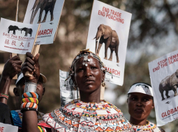 Samburu cilts sieviete piedalās akcijā, lai aizsargātu no iznīcināšanas Āfrikas ziloņus, nīlzirgus, degunradžus un citus cilvēka apdraudētus dzīvniekus. Foto: AFP/Scanpix
