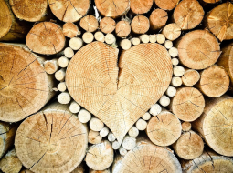 Ilustratīvs attēls no pixabay.com