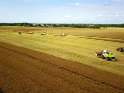 Ražas laiks Jelgavas pusē. Foto: Kaspars Nordens, LETA