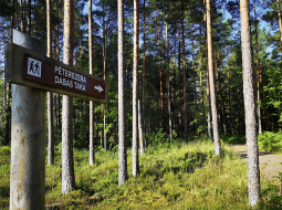 Pēterezera dabas taka.
Foto — Agnese Leiburga