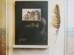Vanaga spalva, ko Rainis pacēlis no Palestīnas zemes 1929. gadā.
Foto — Lauris Aizupietis