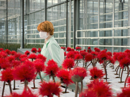 Biotehnoloģes lomā angļu aktrise Emīlija Bīčema.
Publicitātes foto