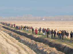 Patvēruma meklētāju kolonna pie Turcijas un Grieķijas sauszemes robežas  2. martā.
Foto — AFP/LETA