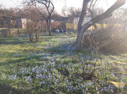 2020_03_PHOTO-2020-02-23-22-56-31_ISO12647.png